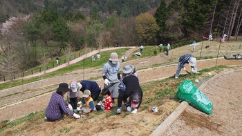 植樹祭