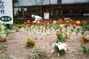 花の植栽作業